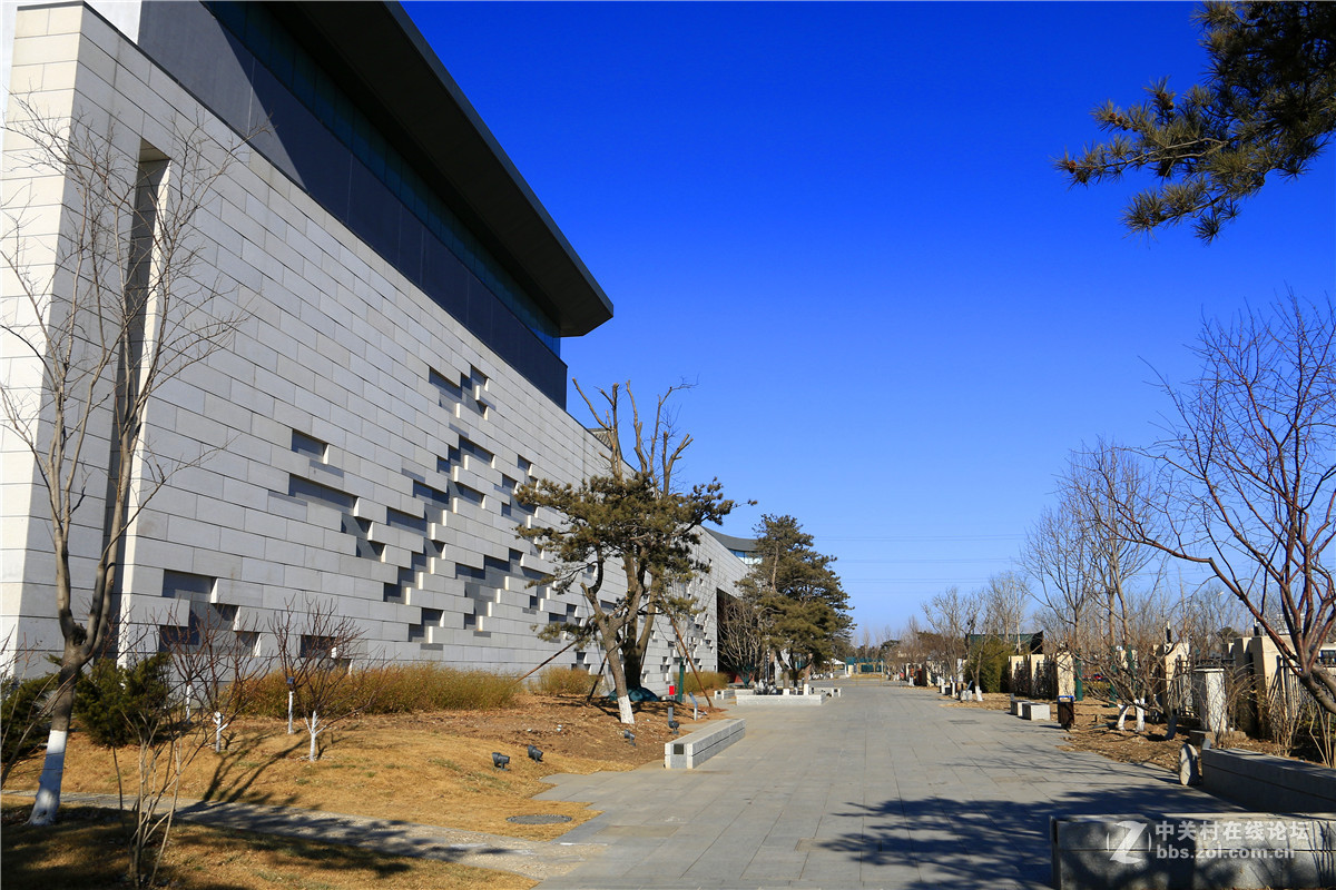 冬拍园博园系列之9.