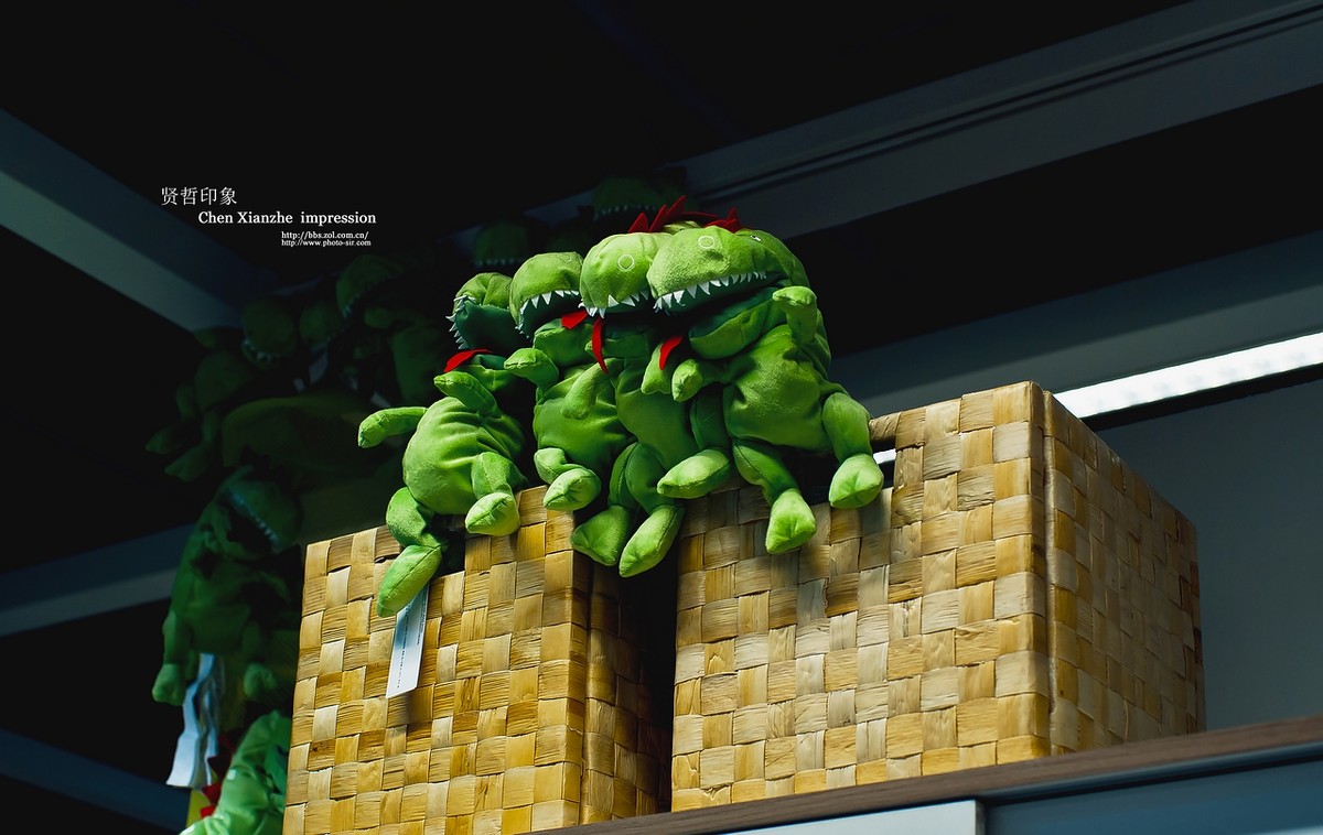 卡尔--蔡司 50mm f/1.4 ZF ---- 宜家习作！！