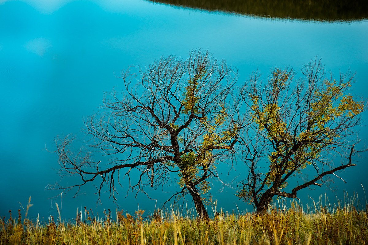 笑婆婆坝上行----蛤蟆坝的风光（三）