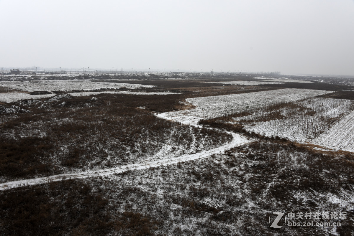 盼了一冬   终于见到久违的雪