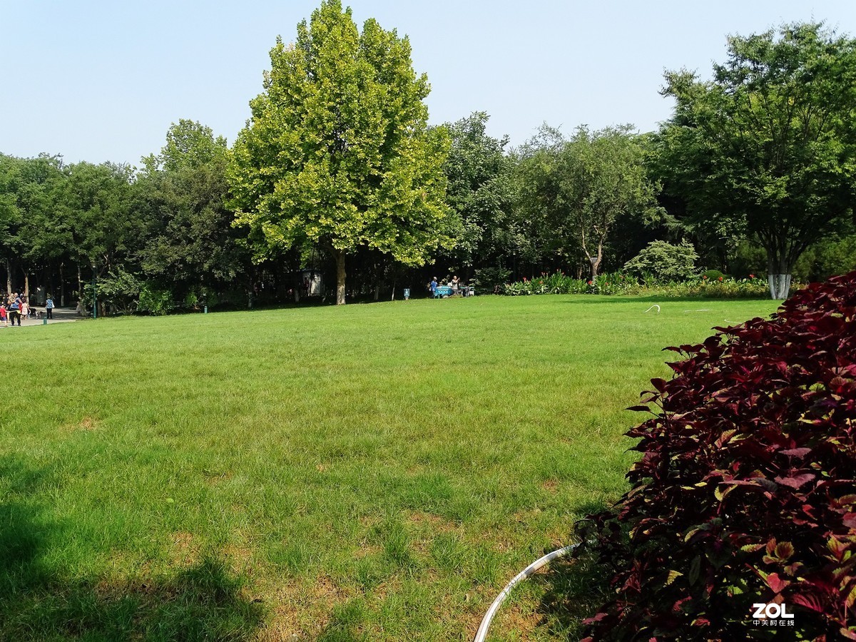 走走拍拍（2019.09.08-3）