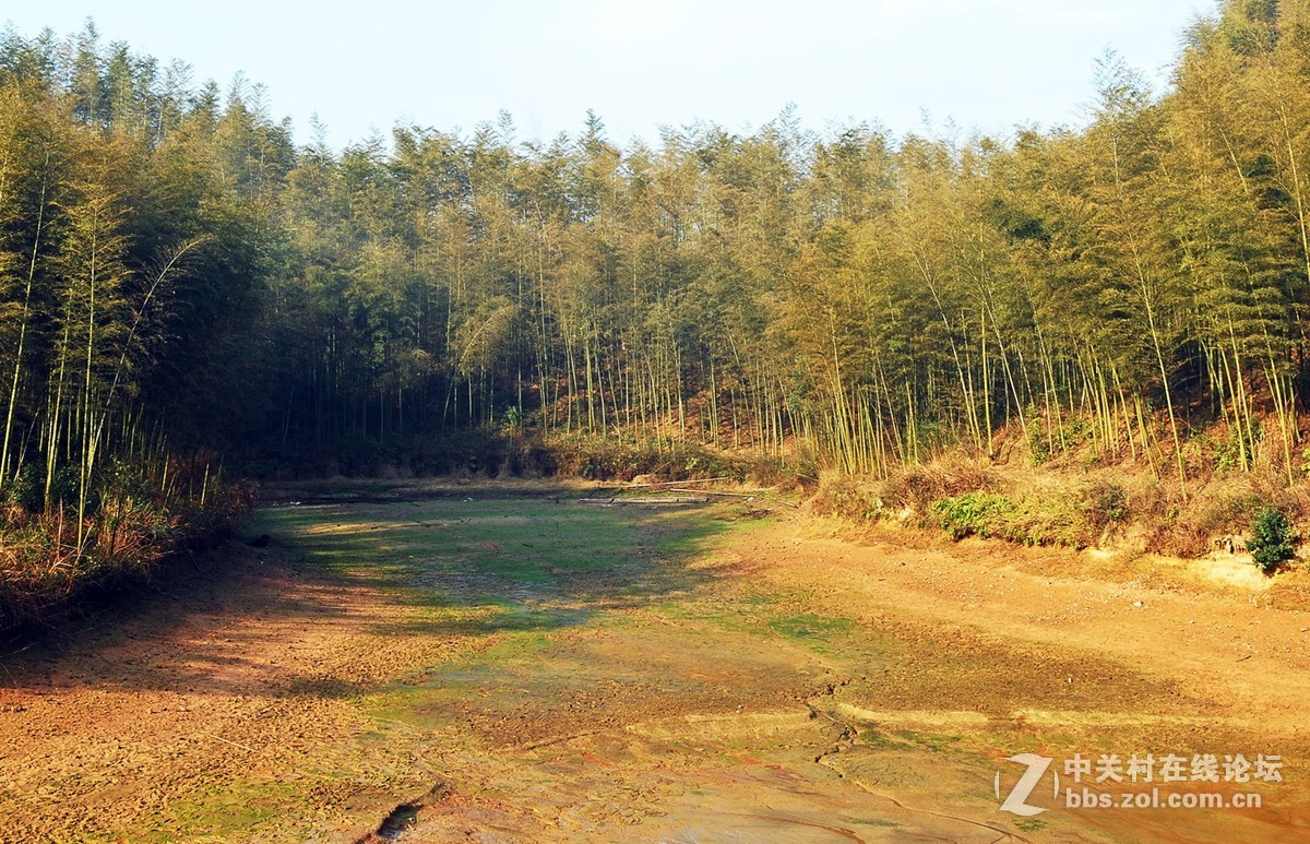 #寻找尼康镜头中的最美中国#郊游随拍