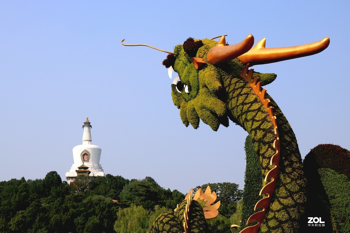 “北海龙”迎国庆