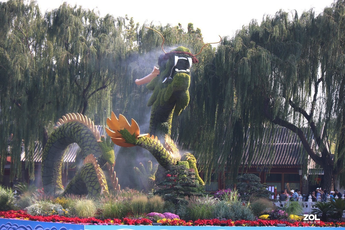 “北海龙”迎国庆