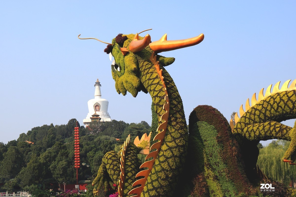 “北海龙”迎国庆