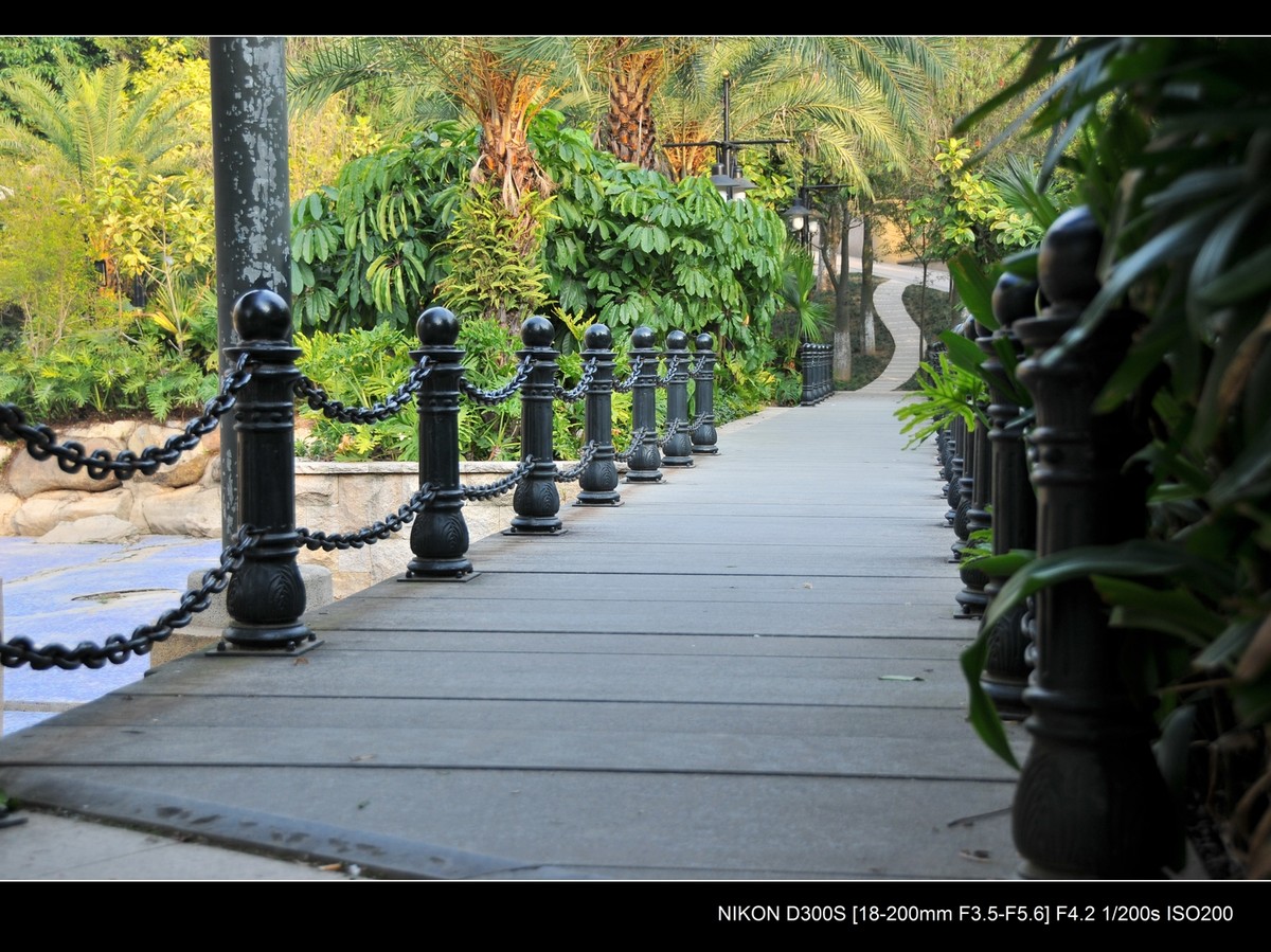 新入尼康18-200VR试镜；画质细腻锐利，色彩鲜艳饱满，好头！