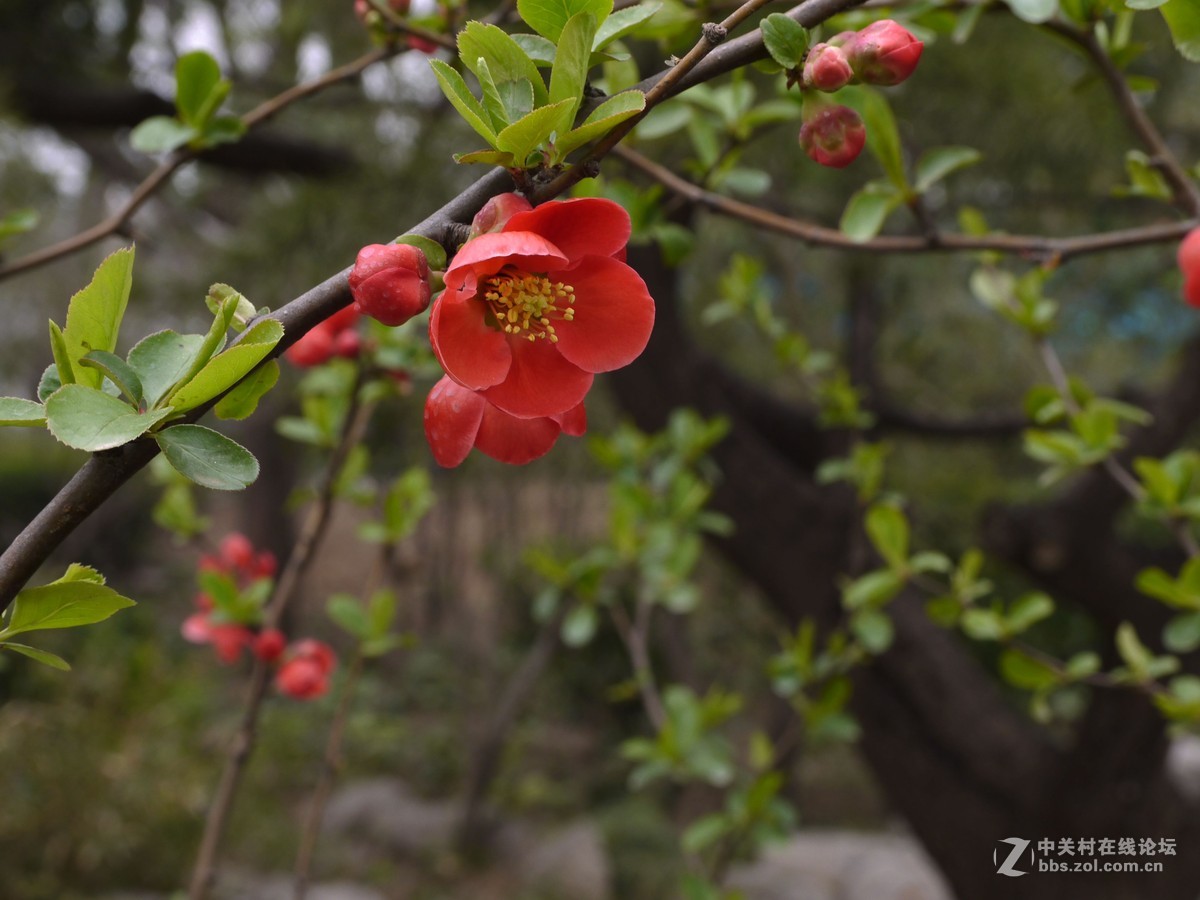 闲着没事，学学简单后期，请大家指点