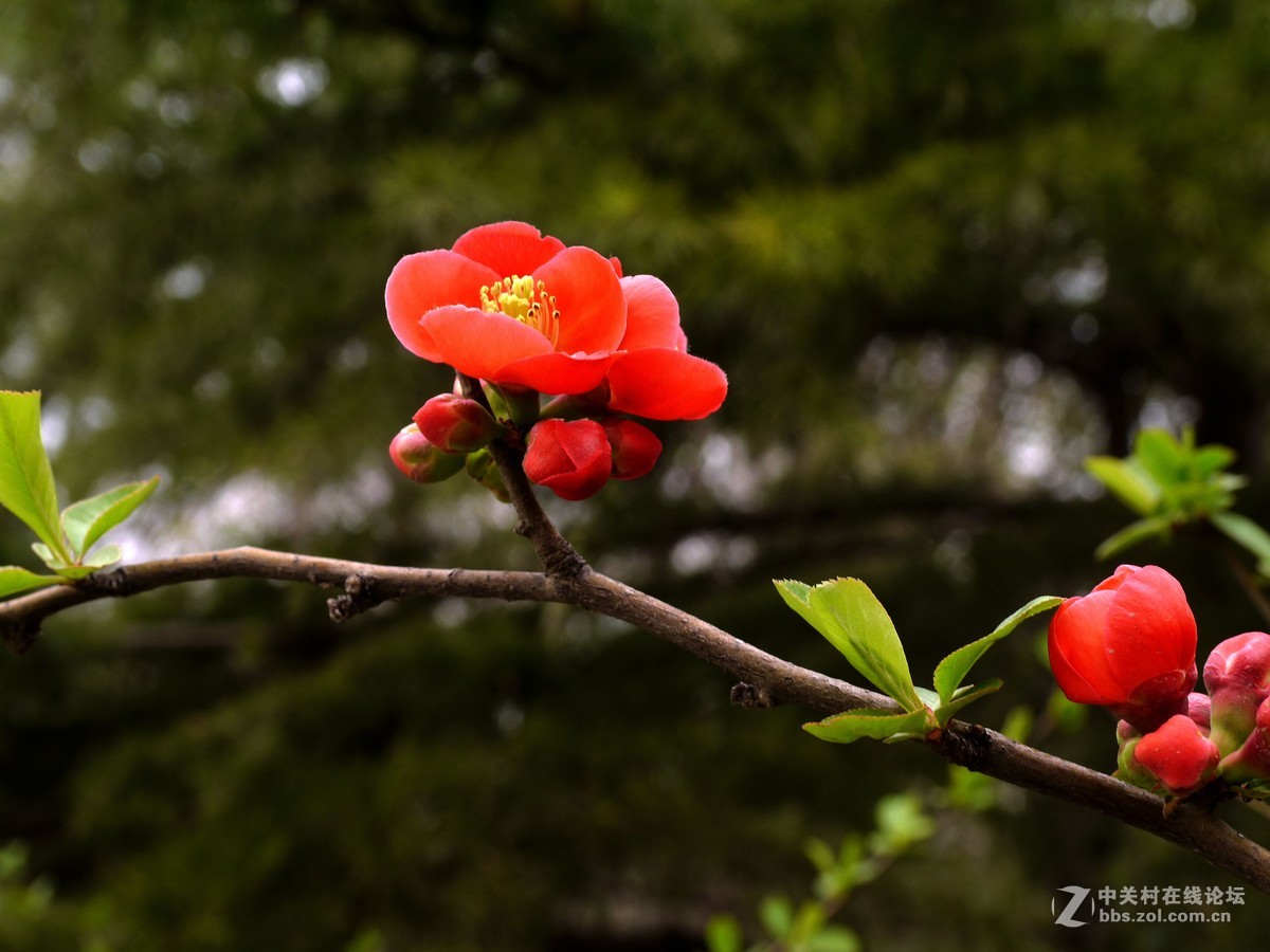 闲着没事，学学简单后期，请大家指点