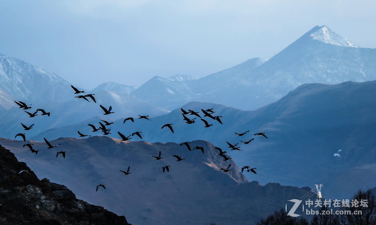 神秘的西藏 新年来临 忠心祝福版主及摄影朋友们 身体健康！ 生活快乐！扎西德勒！