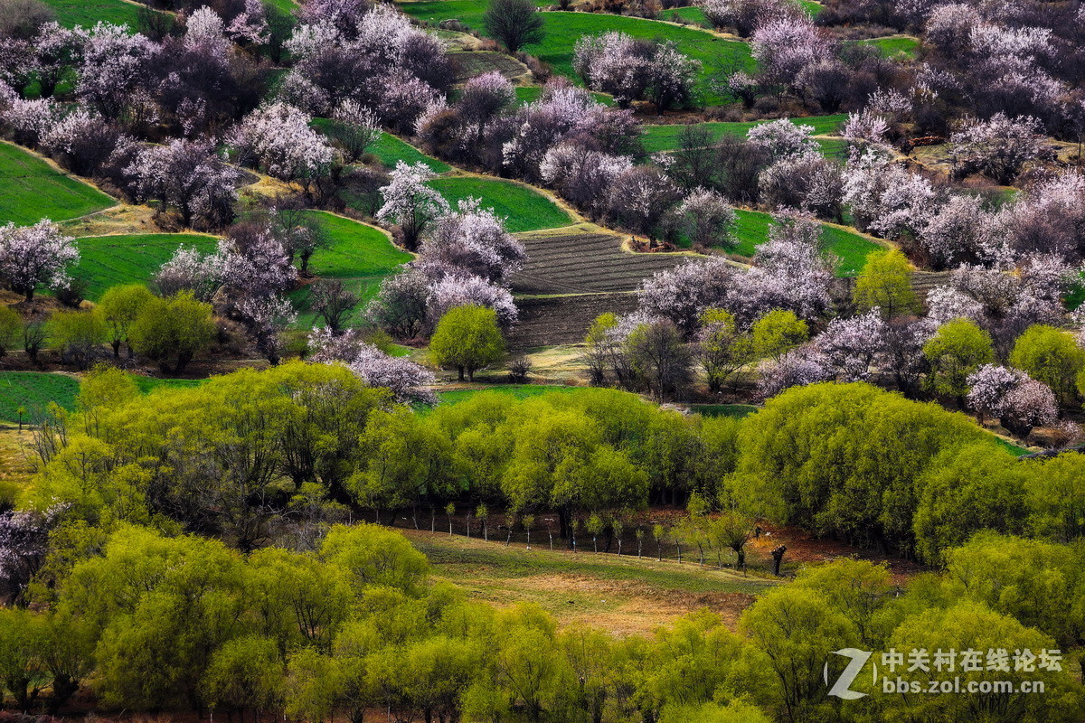 神秘的西藏 新年来临 忠心祝福版主及摄影朋友们 身体健康！ 生活快乐！扎西德勒！