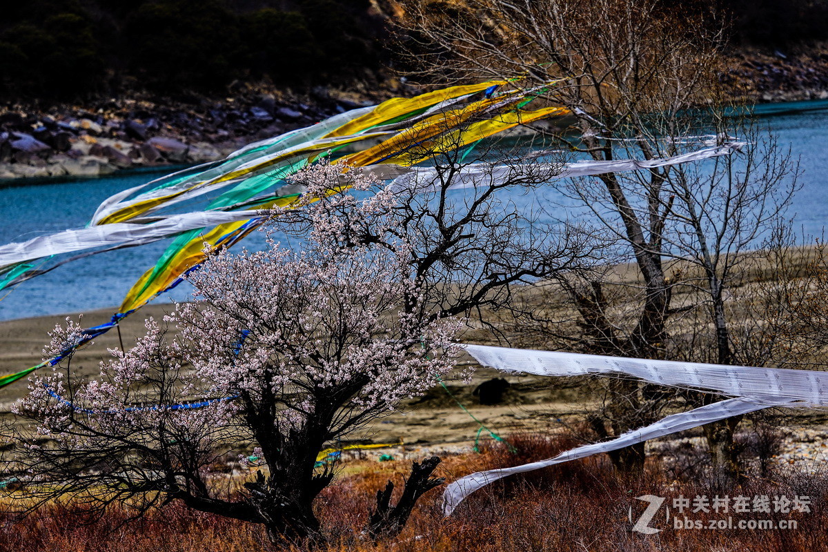 神秘的西藏 新年来临 忠心祝福版主及摄影朋友们 身体健康！ 生活快乐！扎西德勒！