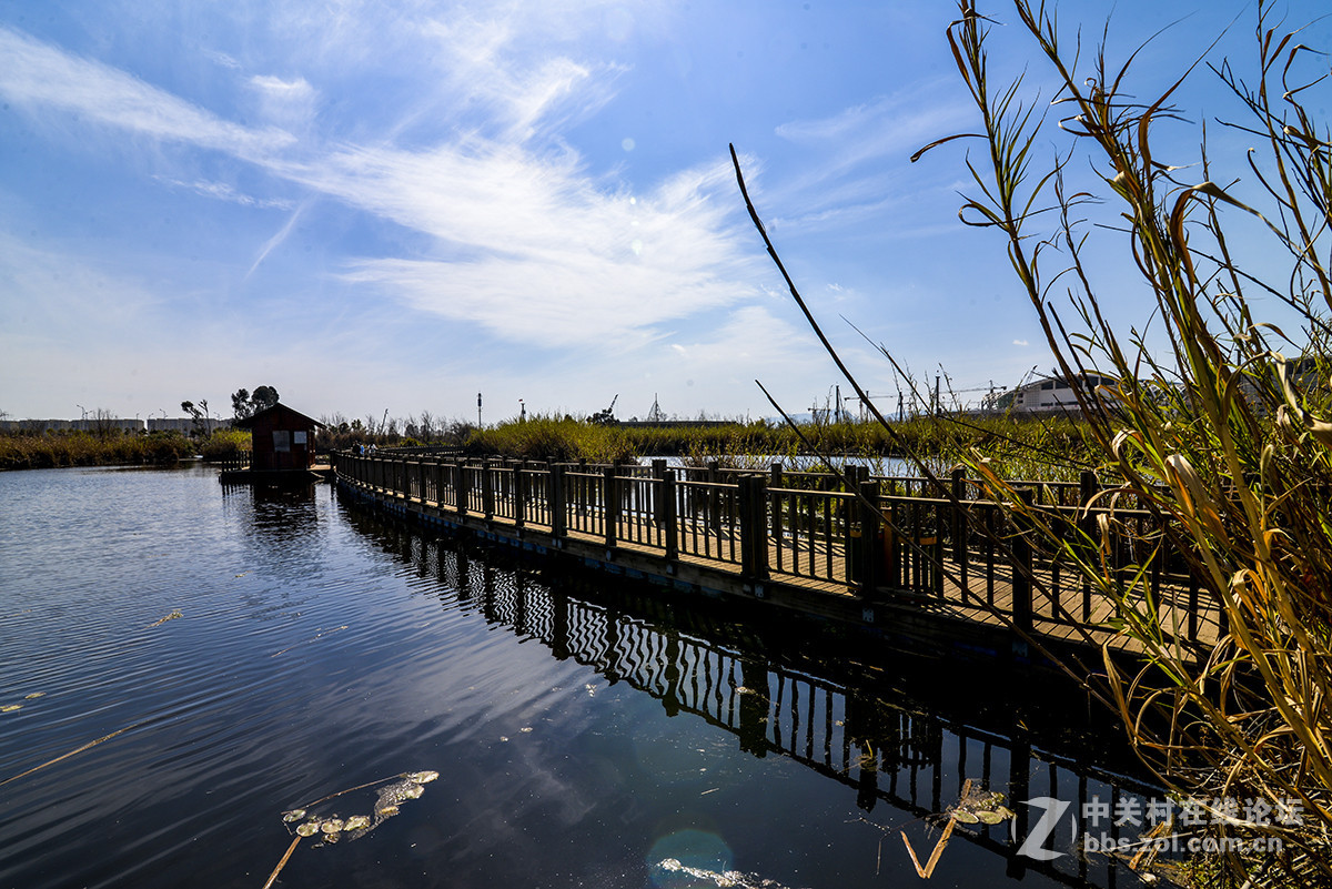 昆明五甲塘湿地公园图片
