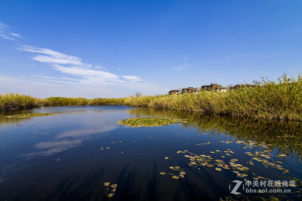 昆明五甲塘湿地公园图片