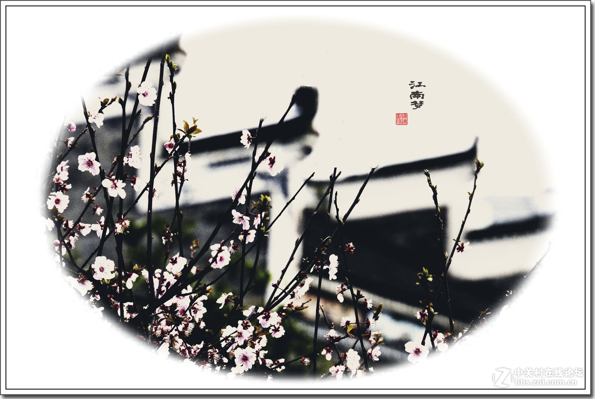 江南梦