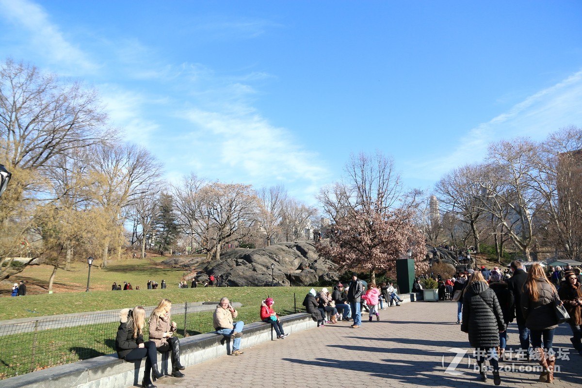 纽约第五大道 帝国大厦 苹果店 夏威夷 随拍