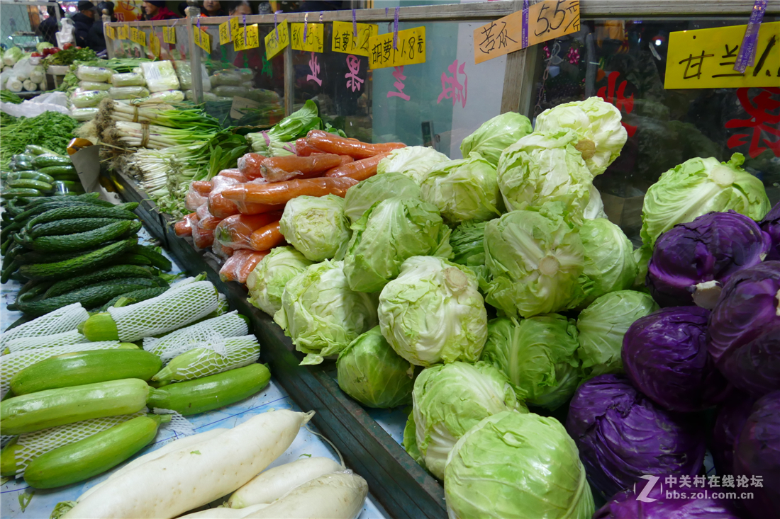 TYP114试用多图（不学版主打苍蝇咱打老虎呵呵）欢迎拍砖！！！