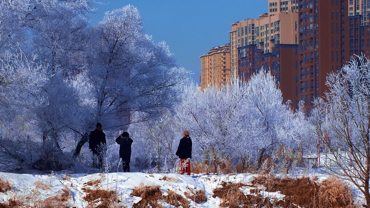《吉林雾凇天下美》！羊年第一帖献给聊城星空(中国)。