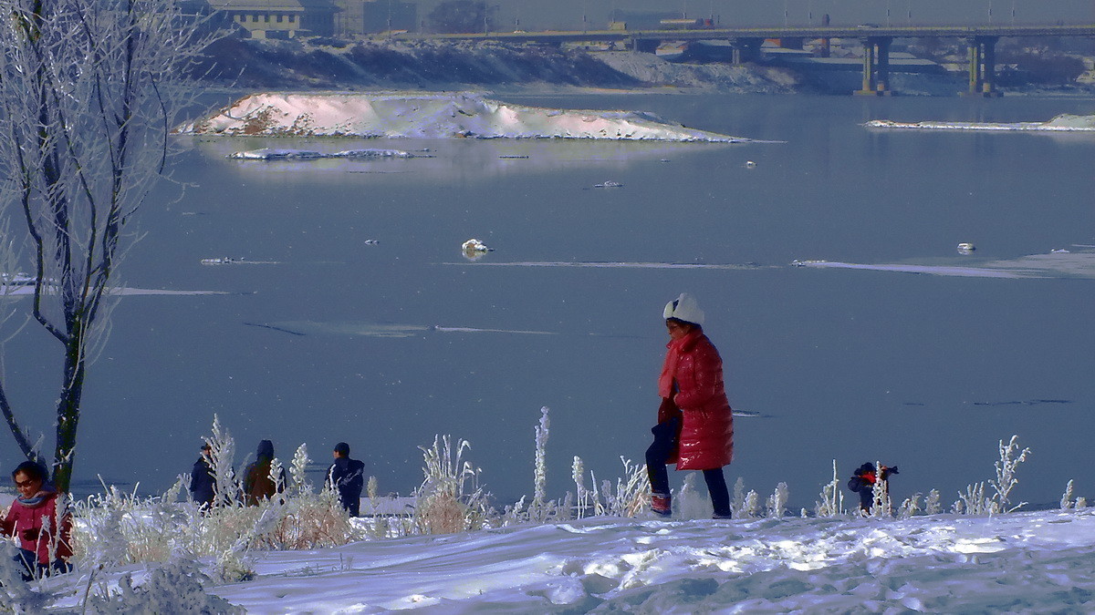 《吉林雾凇天下美》！羊年第一帖献给聊城星空(中国)。