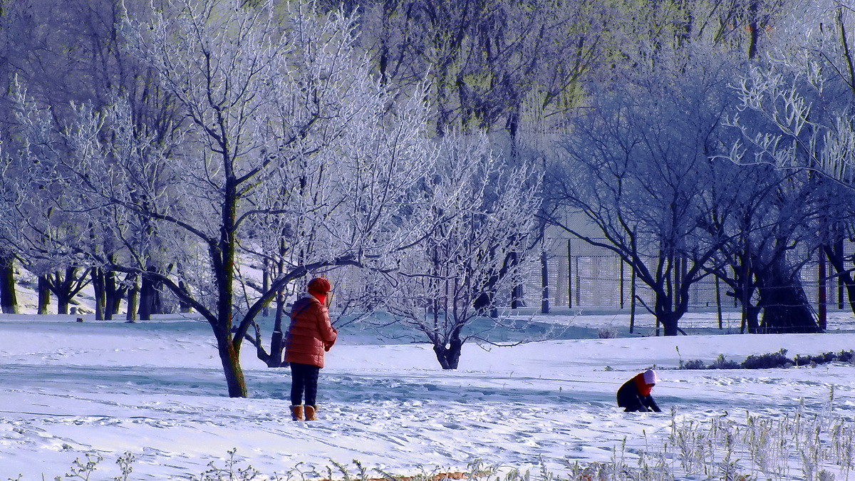 《吉林雾凇天下美》！羊年第一帖献给聊城星空(中国)。
