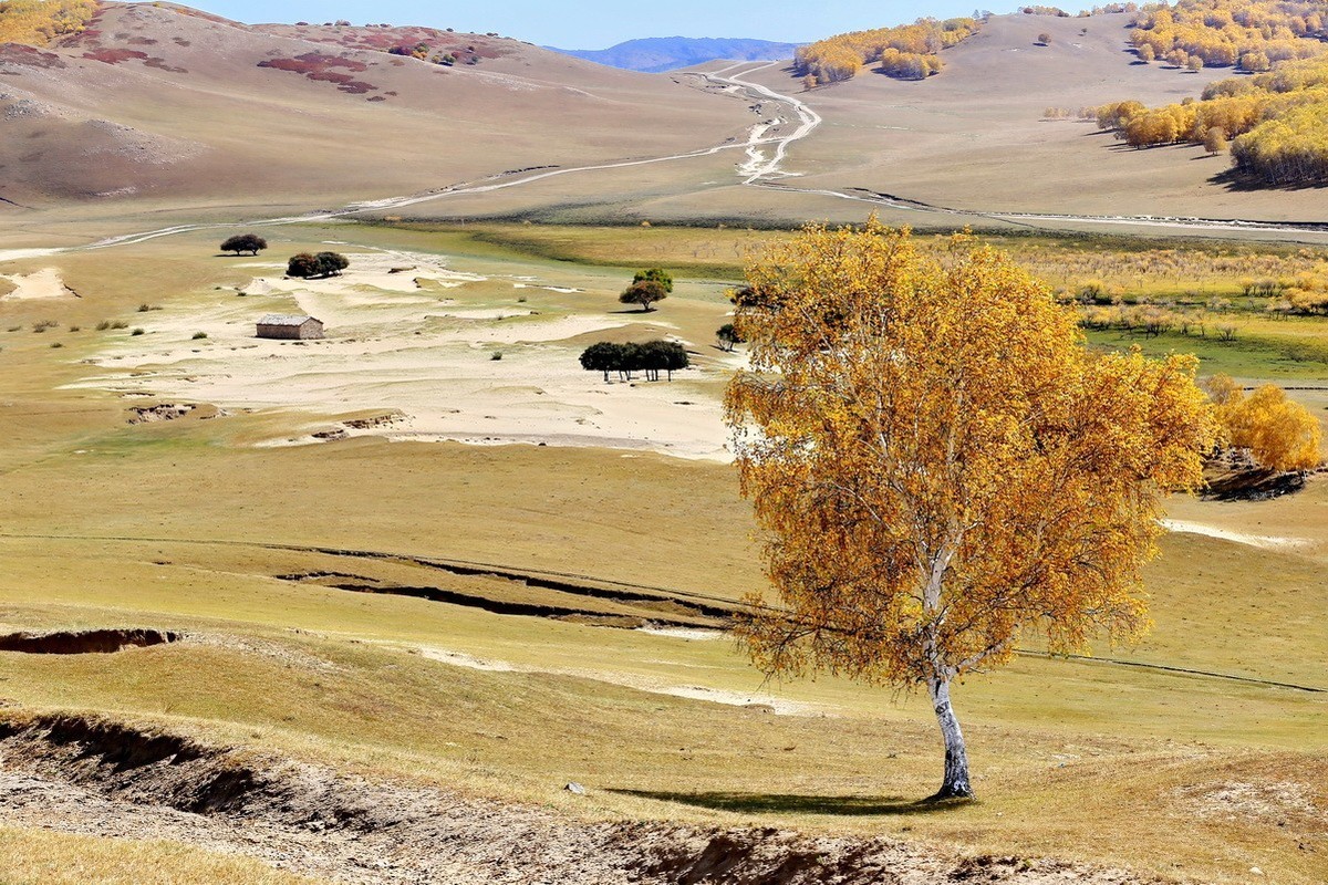 #大摄影佳# 自驾车穿越乌兰布统，欣赏沿途美景。