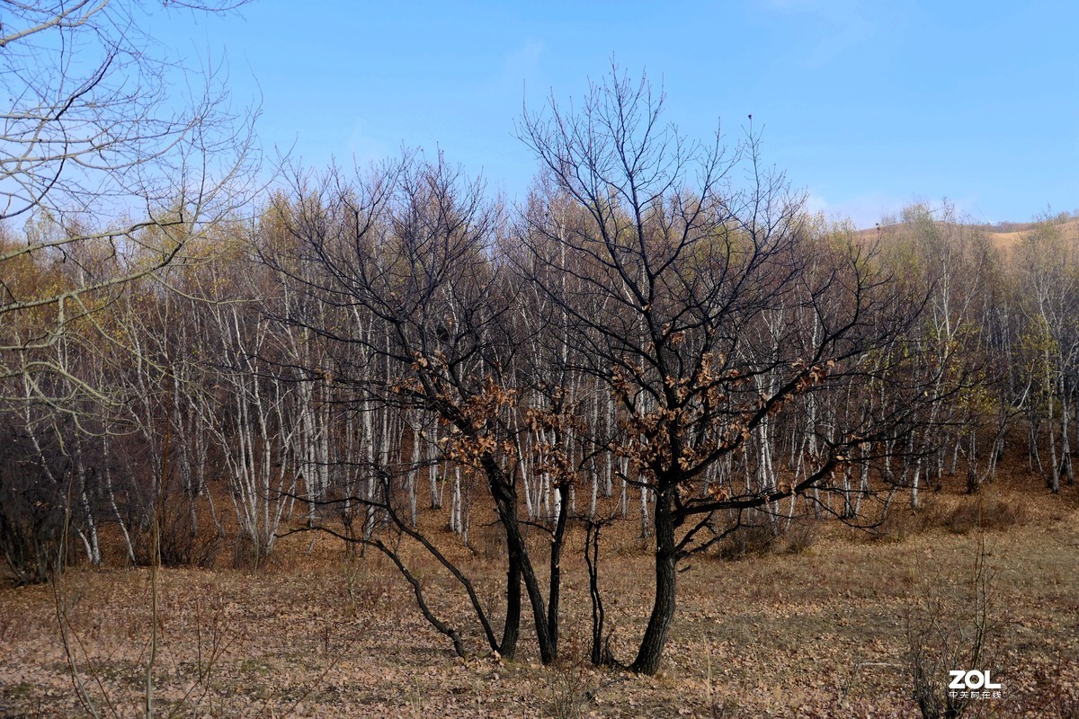 赛旱坝草原风景