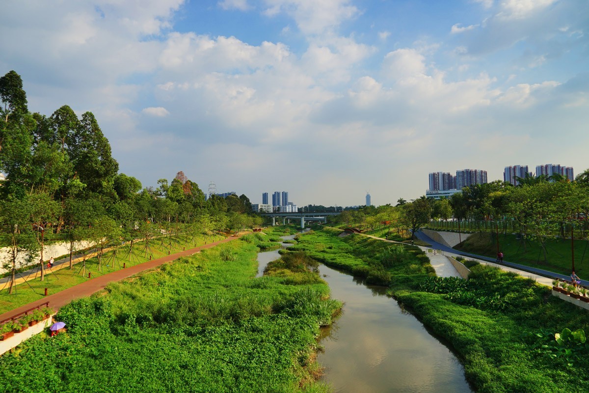 深圳的大沙河