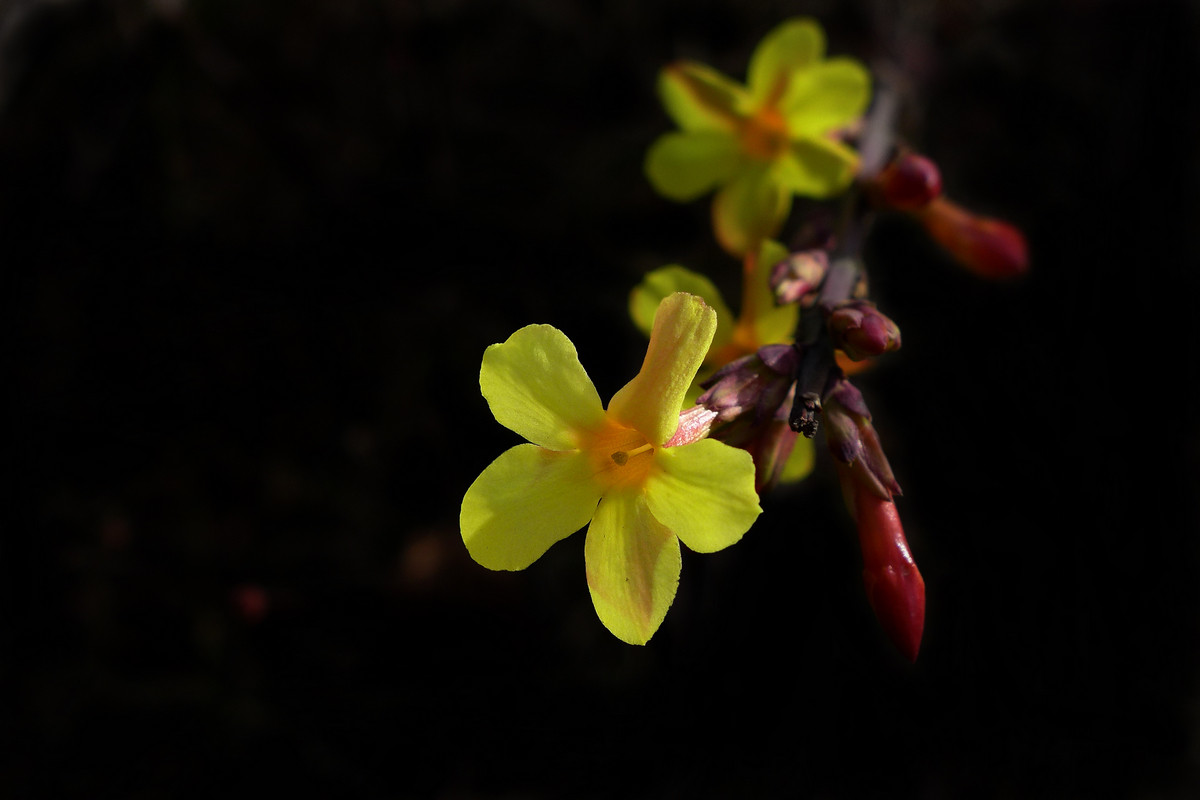 迎来春色换人间3