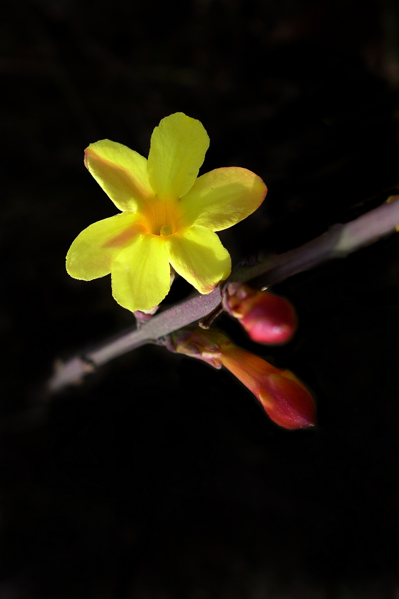 迎来春色换人间3