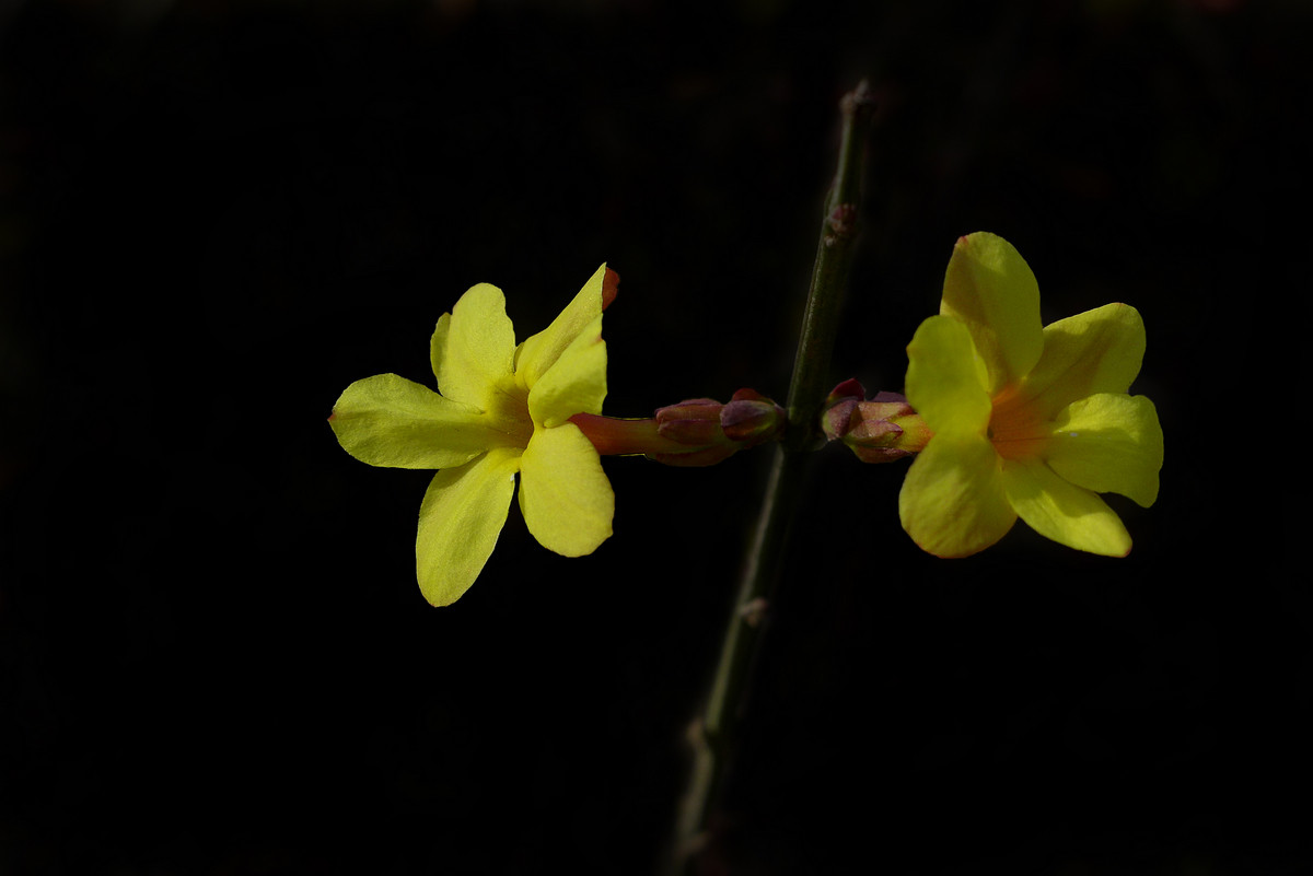 迎来春色换人间3