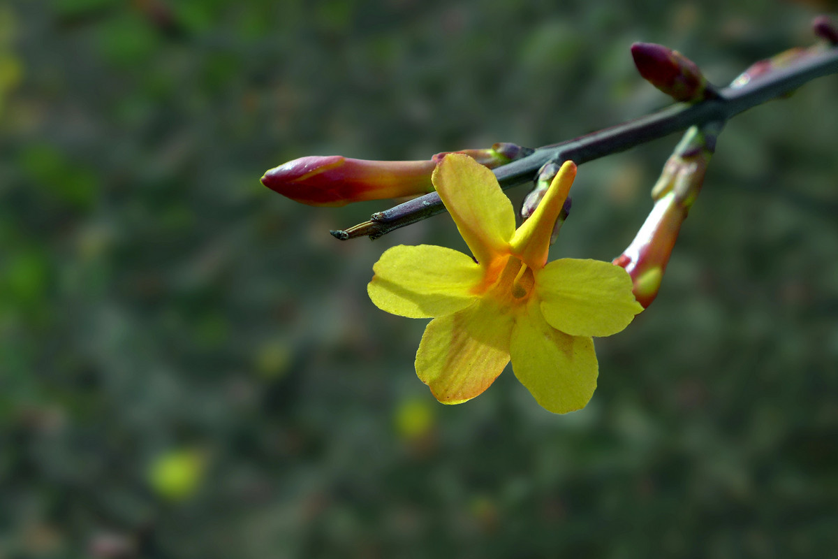 迎来春色换人间3