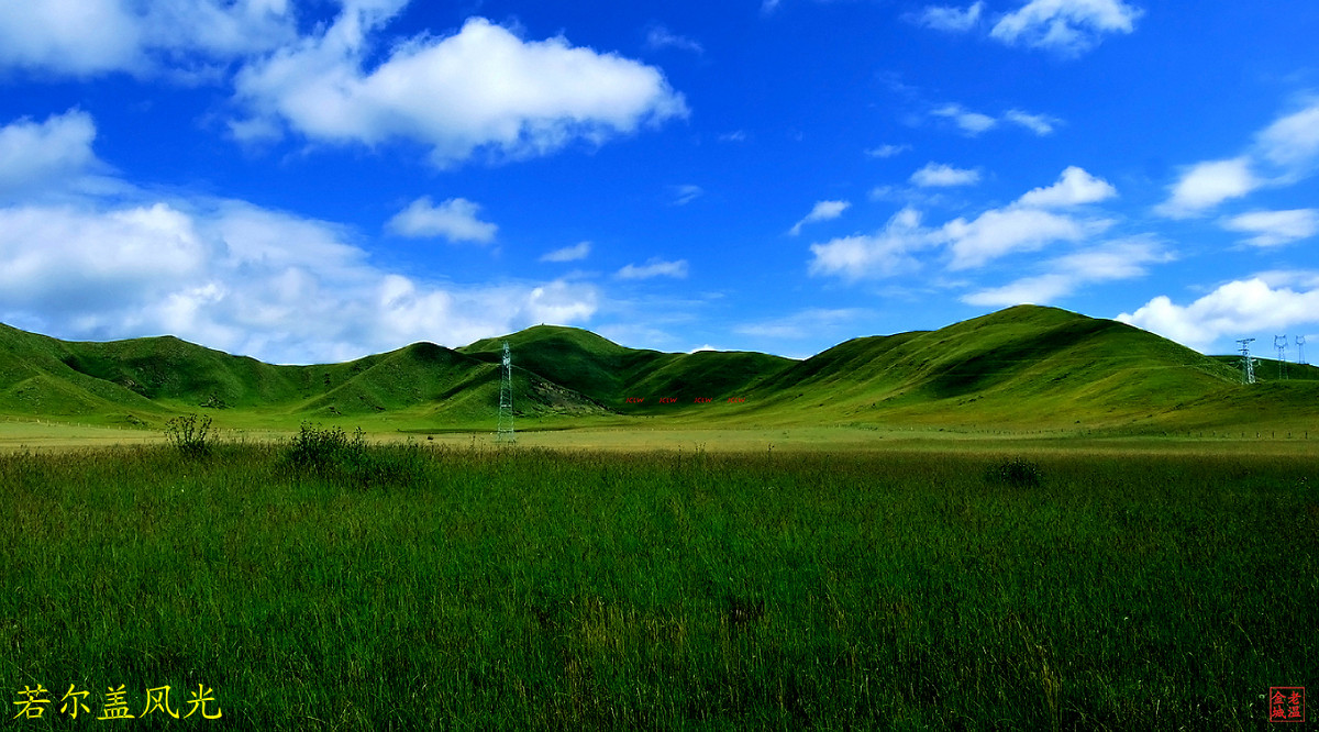 若尔盖风光