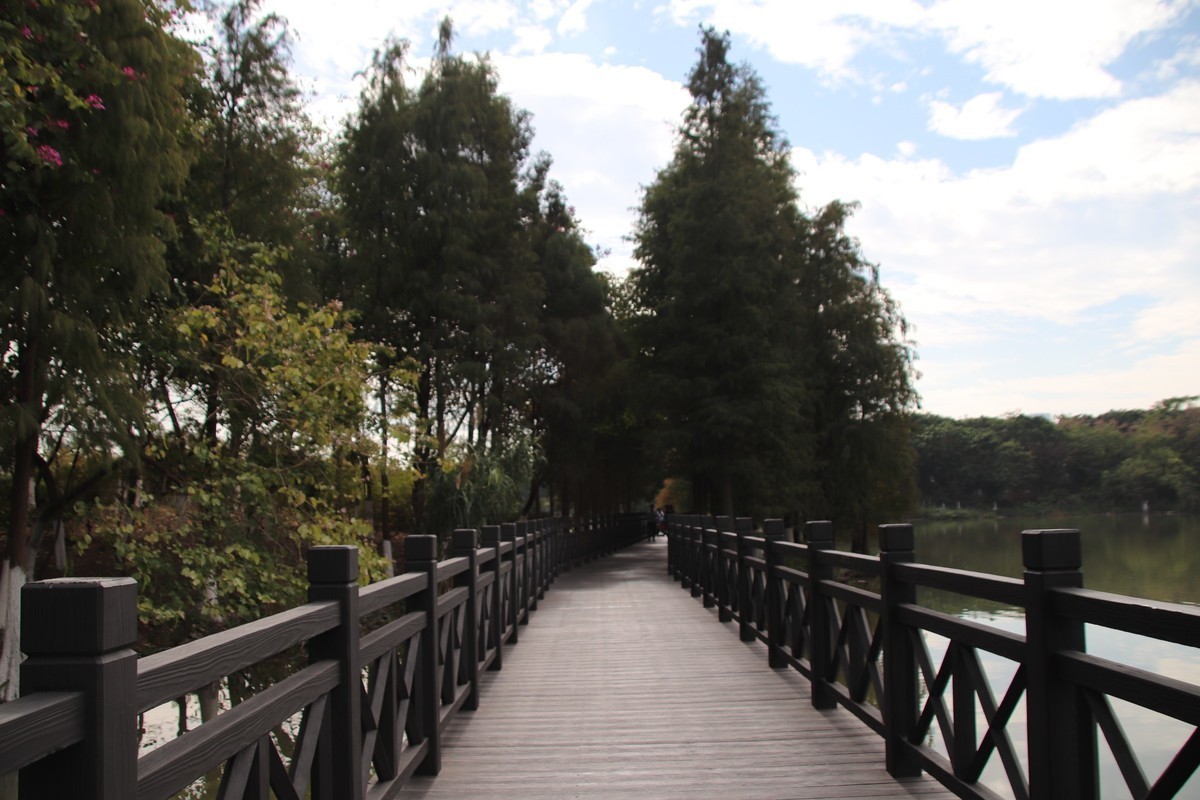 广州新摄一枚 希望能有幸跟大佬们一起交流探讨合作