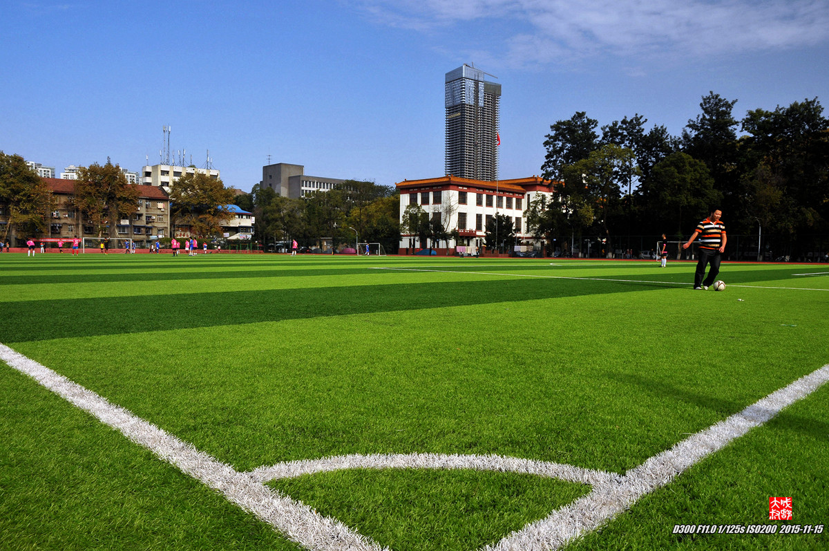 绿茵场上——（一组运动抓拍）