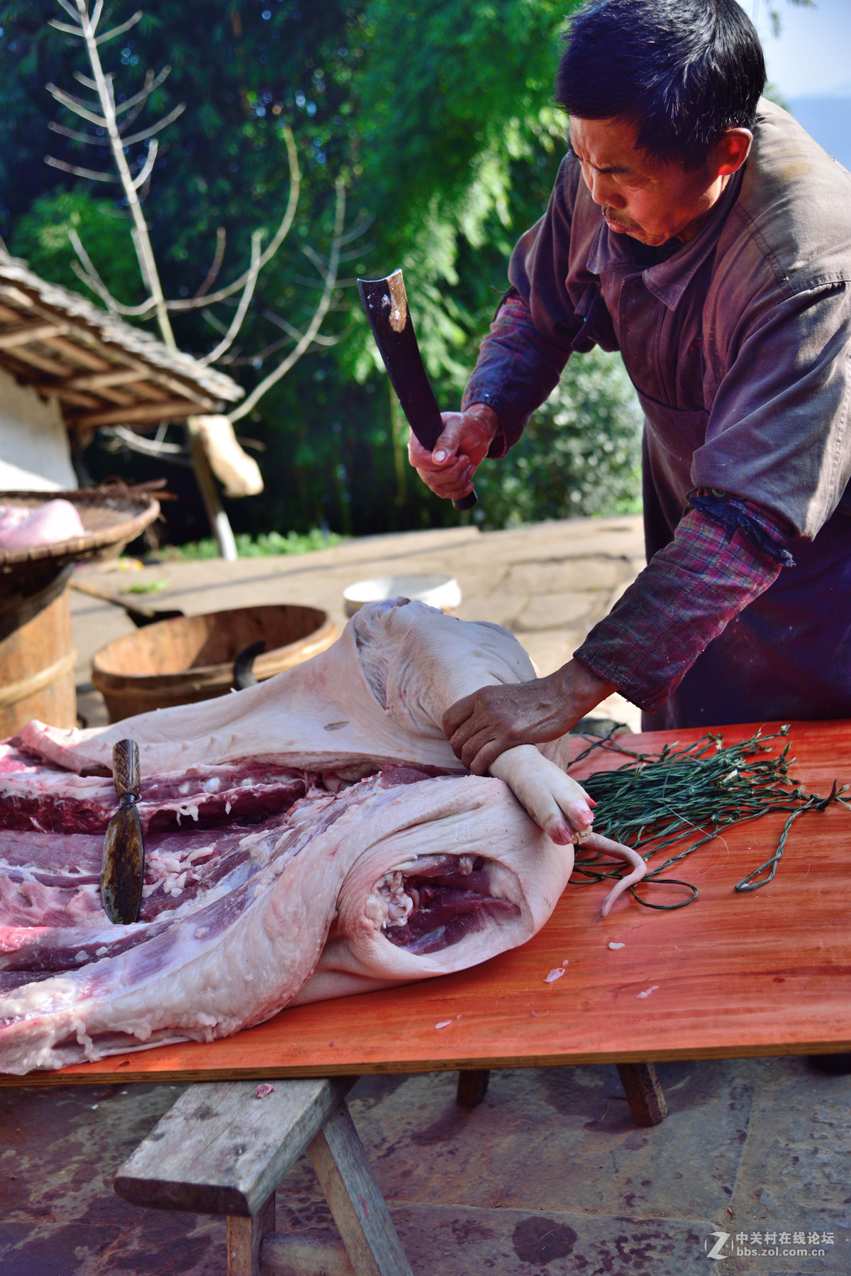 回娘家杀年猪