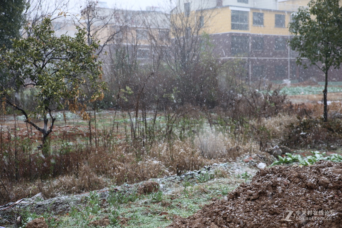 #寻找家乡的年味 # 老家“抬神仙”随拍