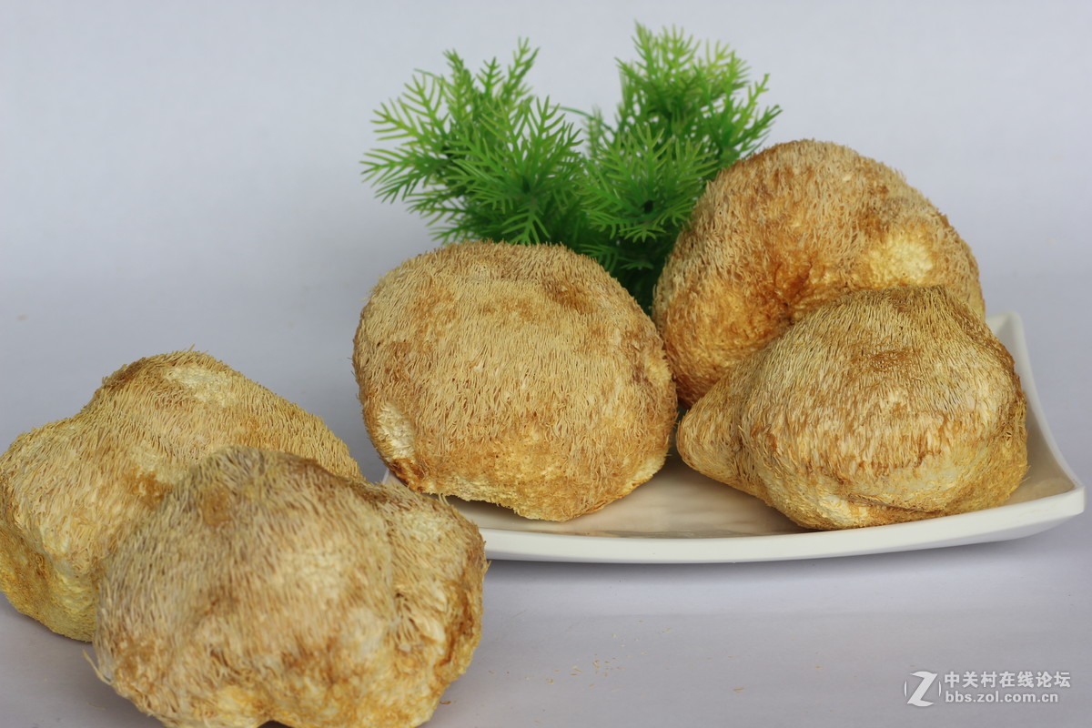 550D配小痰盂拍北川山珍