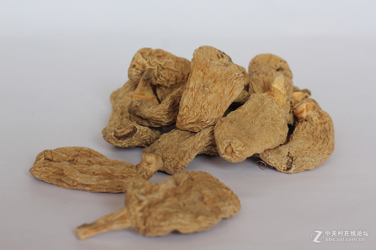 550D配小痰盂拍北川山珍