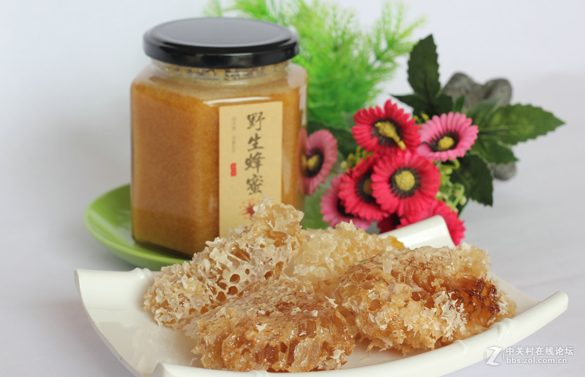 550D配小痰盂拍北川山珍