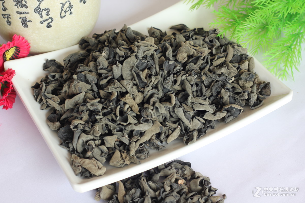 550D配小痰盂拍北川山珍