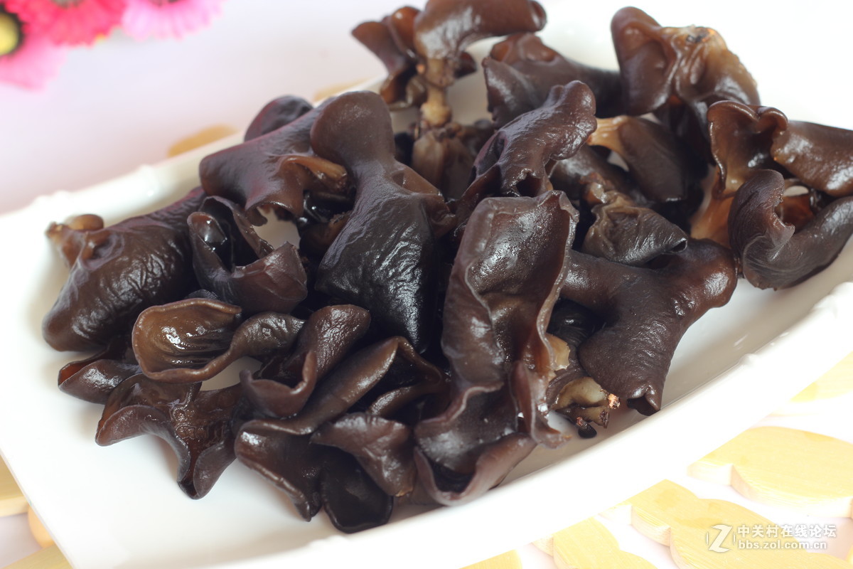 550D配小痰盂拍北川山珍