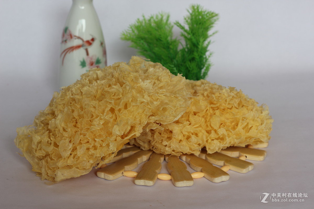 550D配小痰盂拍北川山珍