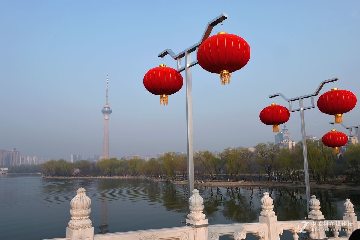 花开——玉渊潭（一）