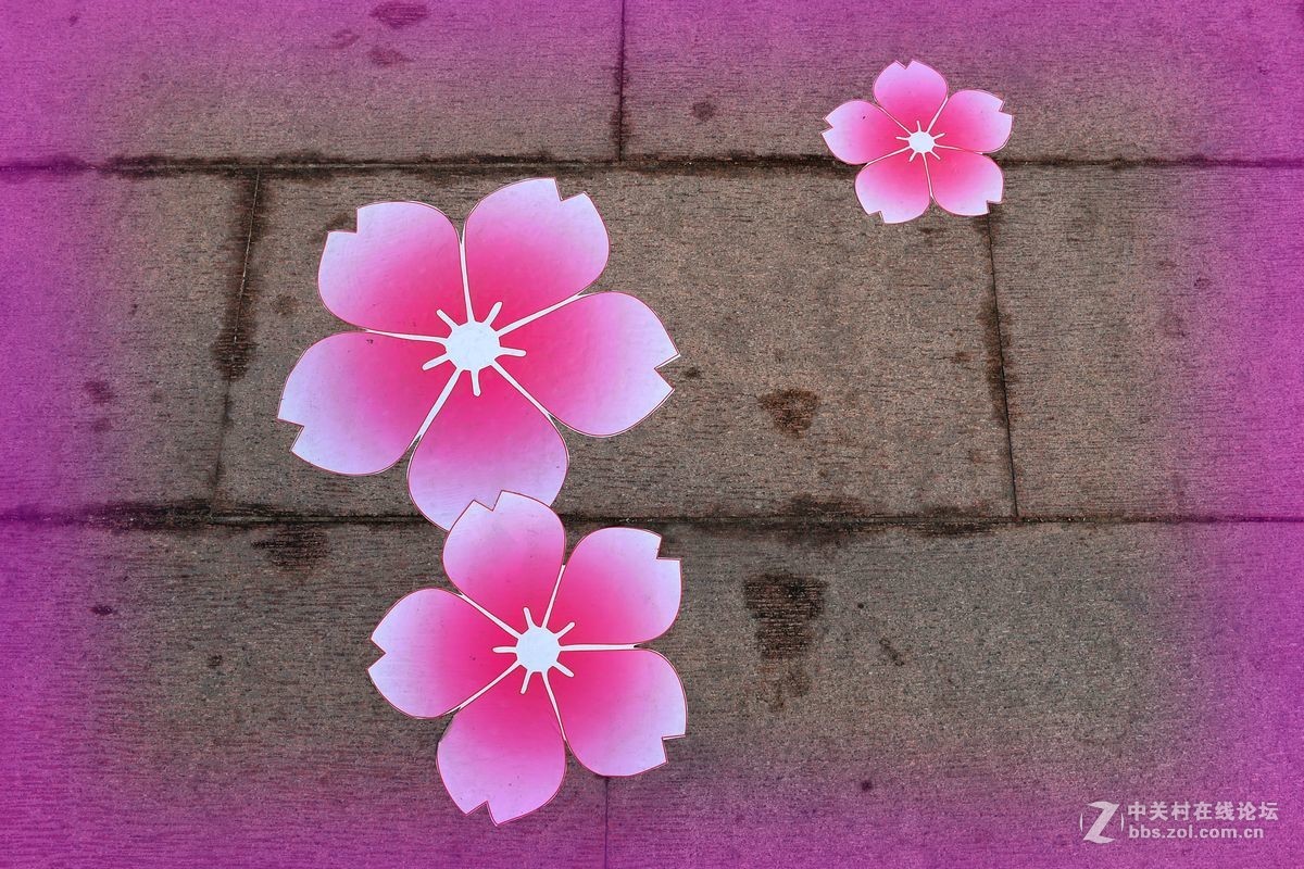 花开——玉渊潭（一）