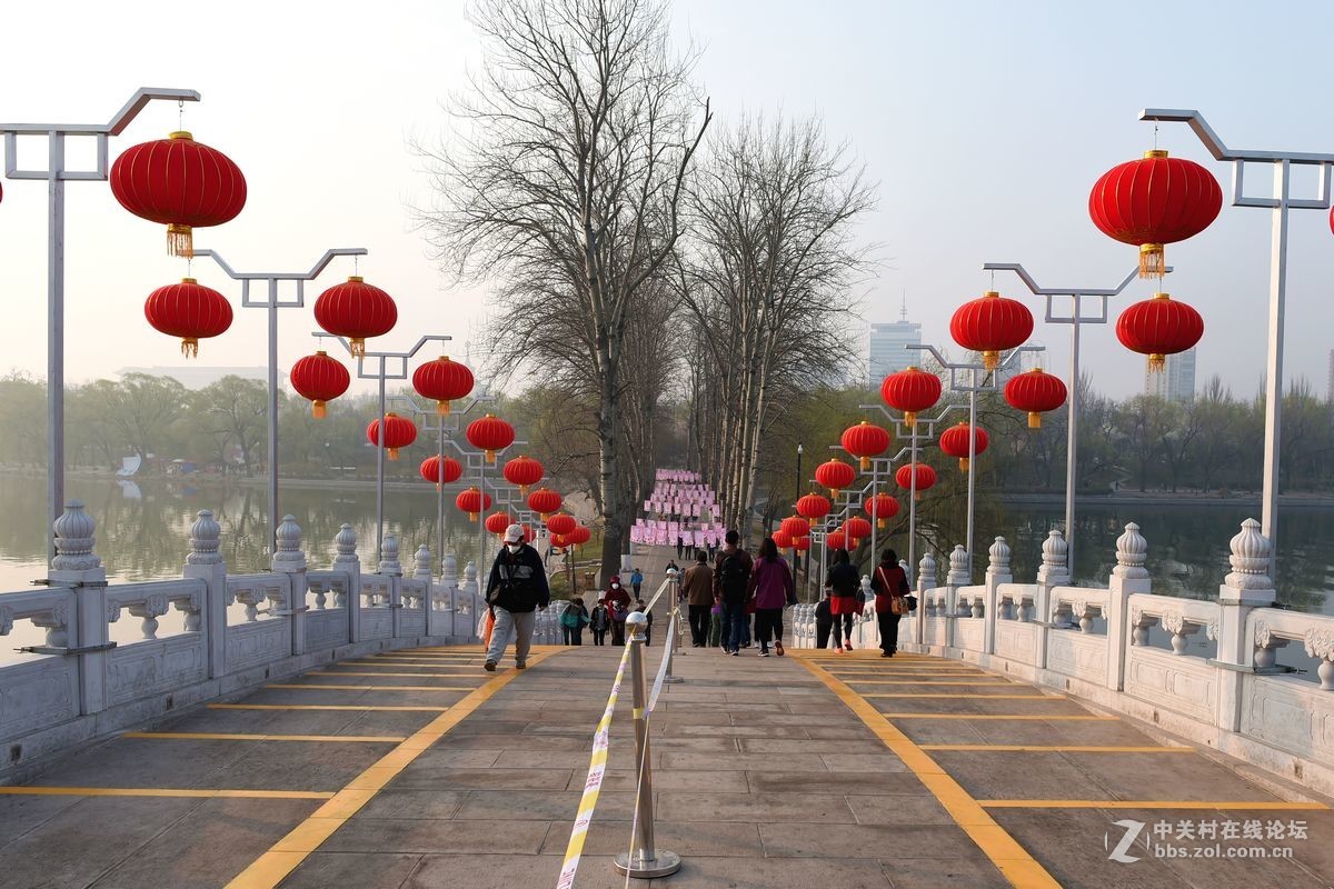 花开——玉渊潭（一）