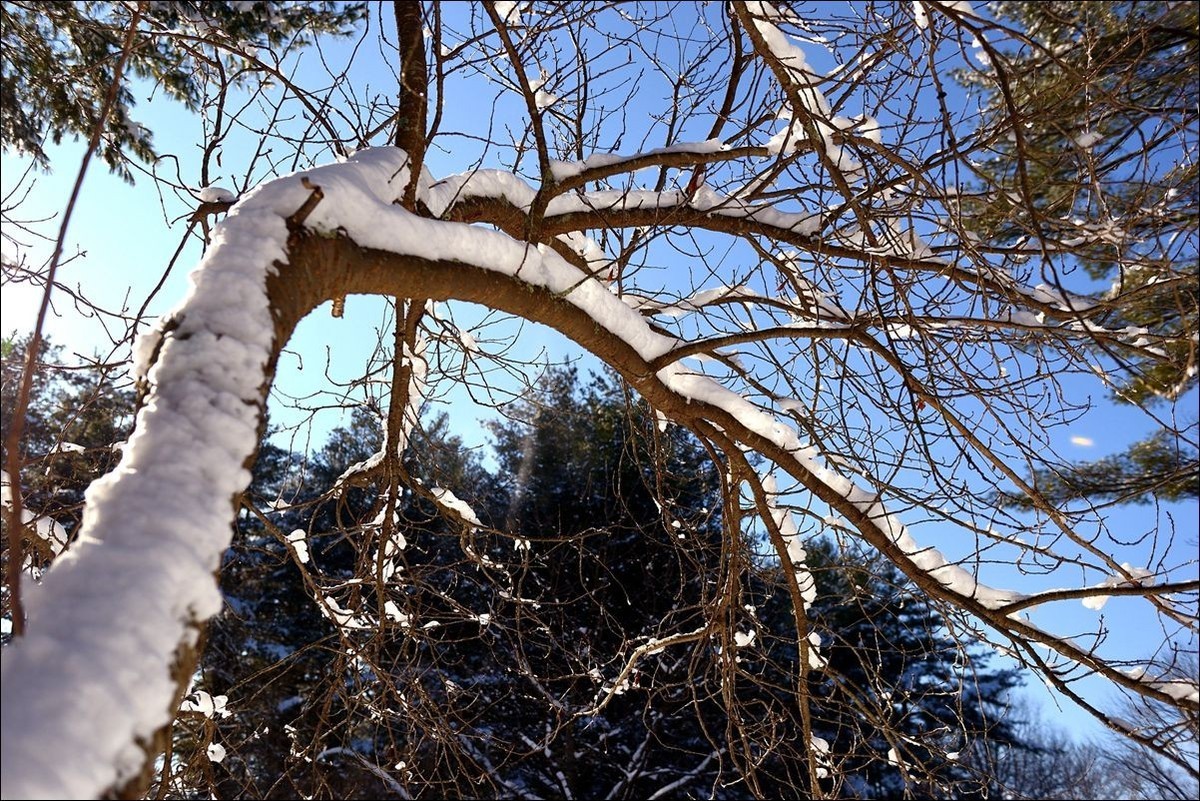 休闲随拍（383）