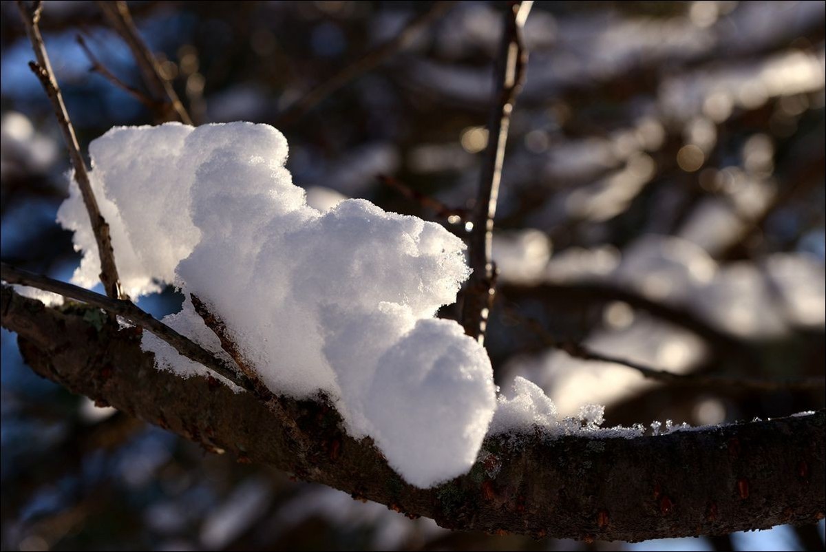 休闲随拍（383）