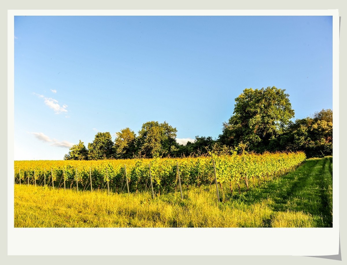 黄昏登山看拾光影