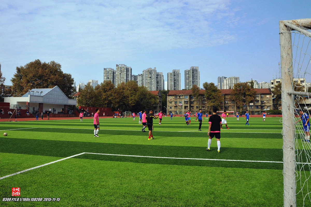 绿茵场上——（一组运动抓拍）