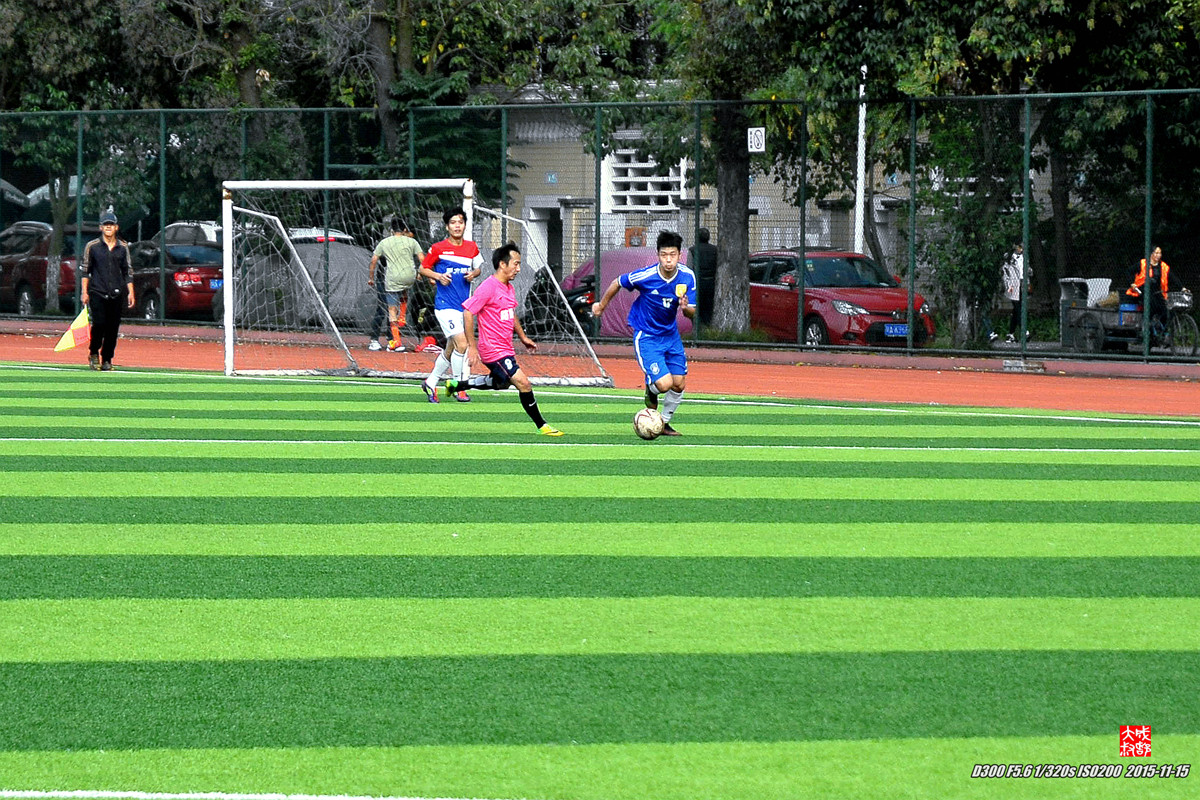 绿茵场上——（一组运动抓拍）