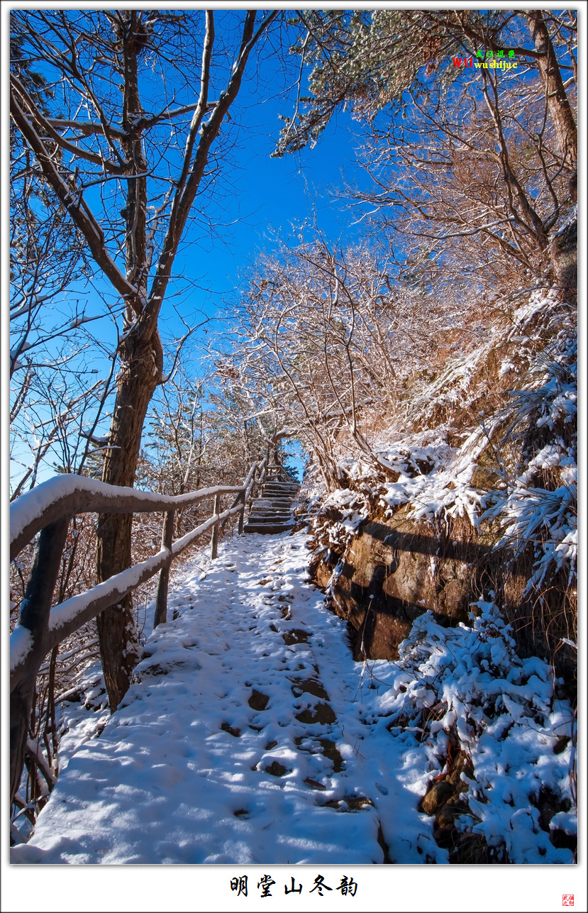 明堂山冬韵
